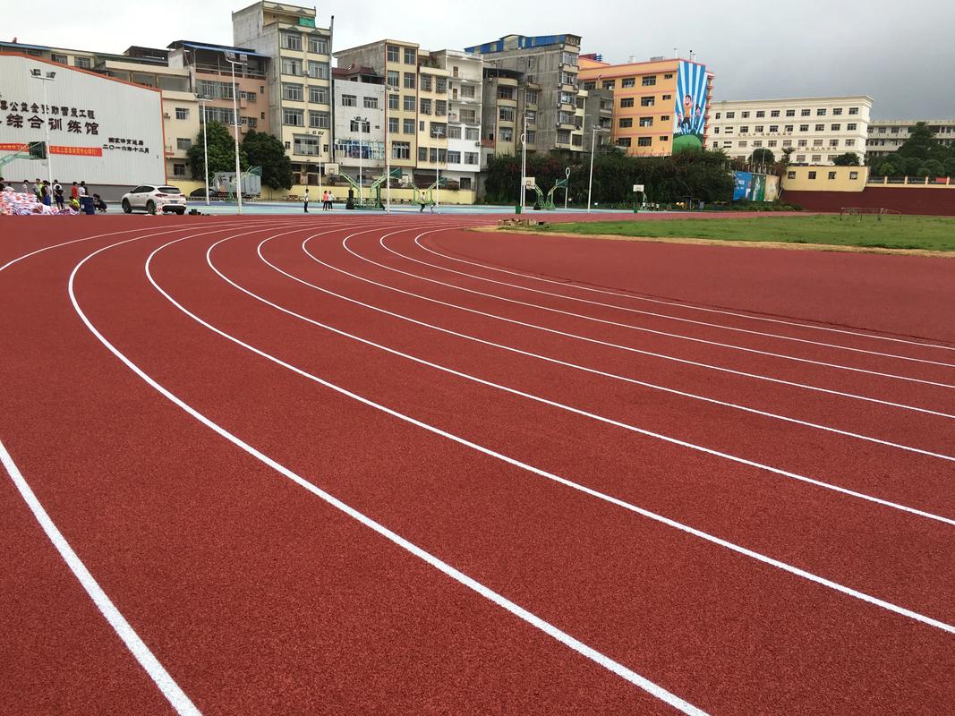 林芝地区橡胶跑道塑胶跑道材料 - 排名